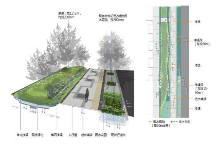 十堰恐龍化工介紹海綿城市道路施工結構圖！請看下文